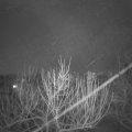 Webcam_20210207-214500