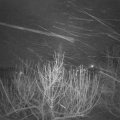 Webcam_20210208-053000