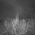 Webcam_20210208-060000