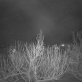 Webcam_20210208-061500