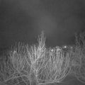 Webcam_20210208-063000