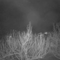 Webcam_20210209-051500