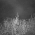 Webcam_20210210-050000