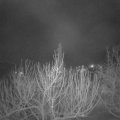 Webcam_20210210-054500