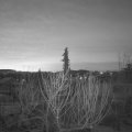 Webcam_20210210-070000