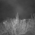 Webcam_20210211-201500