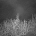 Webcam_20210214-053000