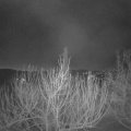 Webcam_20210214-061500
