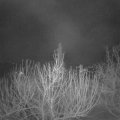 Webcam_20210215-054500