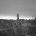 Webcam_20210215-070000