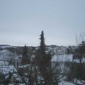 Webcam_20210215-094500