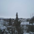 Webcam_20210215-101500