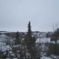 Webcam_20210215-104500