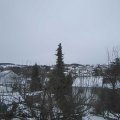 Webcam_20210215-114500