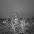 Webcam_20210215-181500