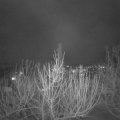 Webcam_20210215-183000