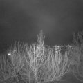 Webcam_20210215-190000