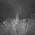 Webcam_20210215-193000