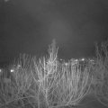 Webcam_20210215-194500