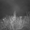Webcam_20210215-200000