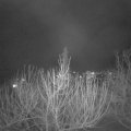 Webcam_20210215-210000