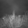 Webcam_20210215-213000