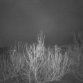 Webcam_20210216-051500