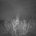 Webcam_20210216-054500