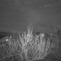 Webcam_20210216-183000