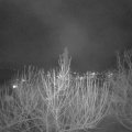 Webcam_20210216-194500