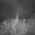 Webcam_20210216-200000