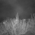 Webcam_20210216-201500