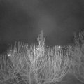 Webcam_20210216-203000