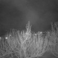 Webcam_20210216-204500