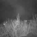 Webcam_20210216-210000
