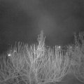 Webcam_20210216-220000