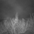 Webcam_20210217-050000