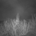 Webcam_20210217-051500
