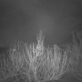 Webcam_20210217-054500