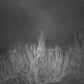 Webcam_20210217-063000