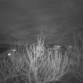 Webcam_20210217-183000