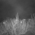 Webcam_20210217-190000
