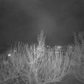 Webcam_20210217-193000