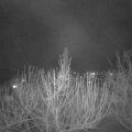 Webcam_20210217-194500
