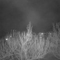 Webcam_20210217-200000