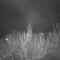 Webcam_20210217-203000