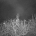 Webcam_20210217-210000