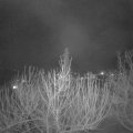 Webcam_20210217-211500
