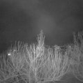 Webcam_20210217-213000