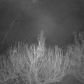 Webcam_20210218-050000
